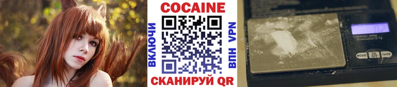 ссылка на мегу маркетплейс  Чкаловск  Cocaine 99% 
