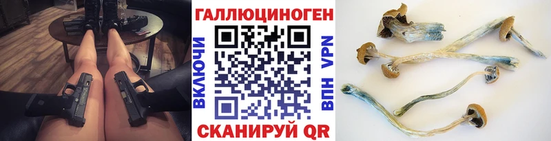 Псилоцибиновые грибы мухоморы  Чкаловск 
