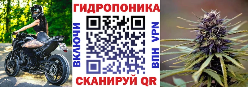 что такое   Чкаловск  Конопля семена 